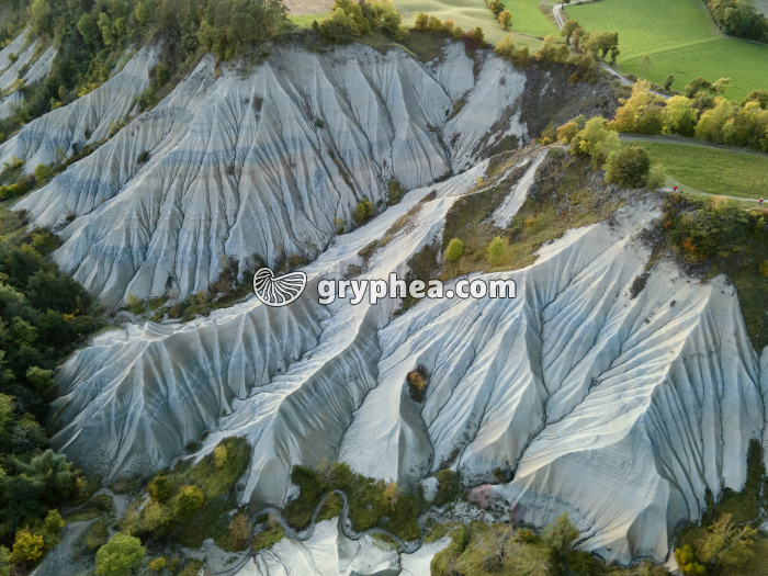 Erosion de terrains argileux - le ravin de Corboeuf (43) - vue aérienne - gryphea.org